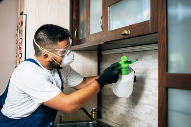Best Best Pest Control Companies  in Wona Lake, IN