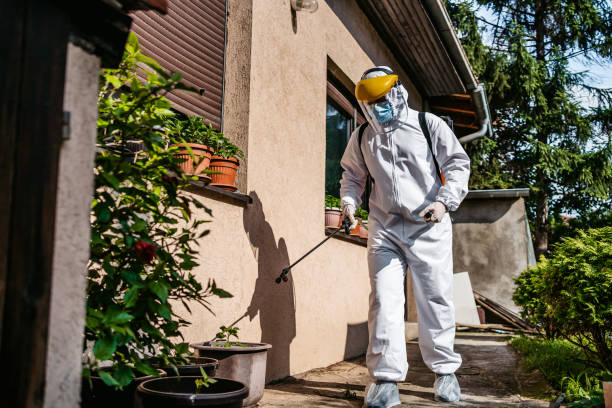 Best Local Pest Control Services  in Wona Lake, IN