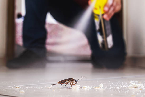 Best Local Pest Control Services  in Wona Lake, IN