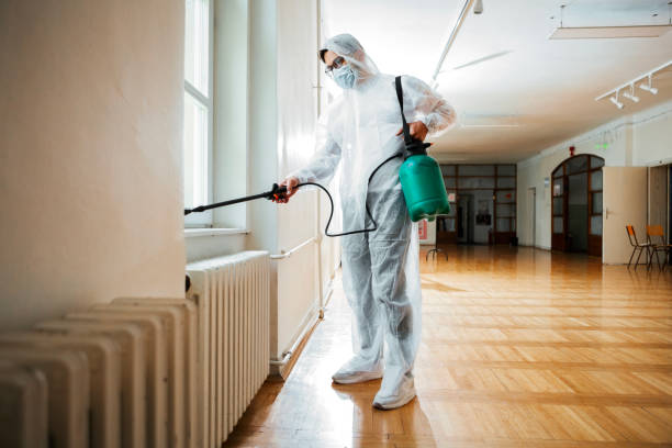 Best Wasp Removal Services  in Wona Lake, IN
